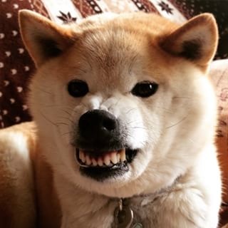 画像にそれっぽいタイトルをつけてみるトピ
