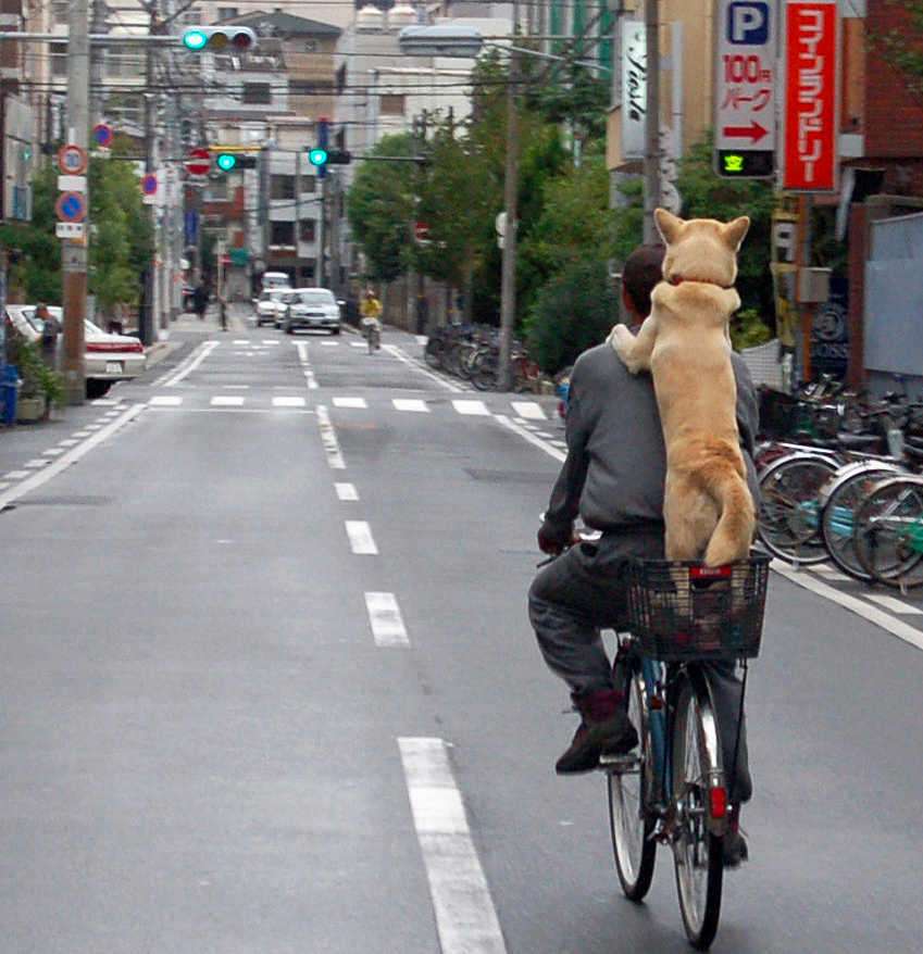 画像にそれっぽいタイトルをつけてみるトピ