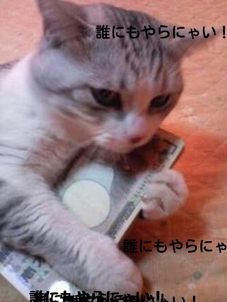 画像にそれっぽいタイトルをつけてみるトピ