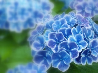 スピッツでお勧めの曲を教えて下さい。