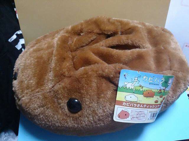ティッシュケース(ボックス)どんなの使ってますか？