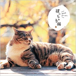 犬や猫が載っている雑誌を買ったことがある方