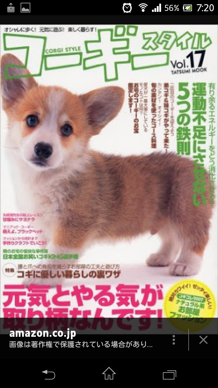 犬や猫が載っている雑誌を買ったことがある方