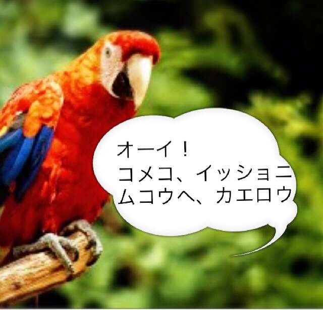 普段の自分と違う口調で話してみよう！