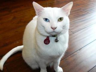 自分ってダメ人間だな、と思うとき