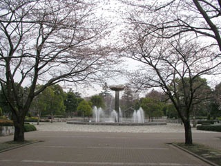『anego』好きな方