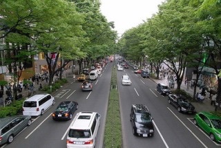つい目で追ってしまうもの