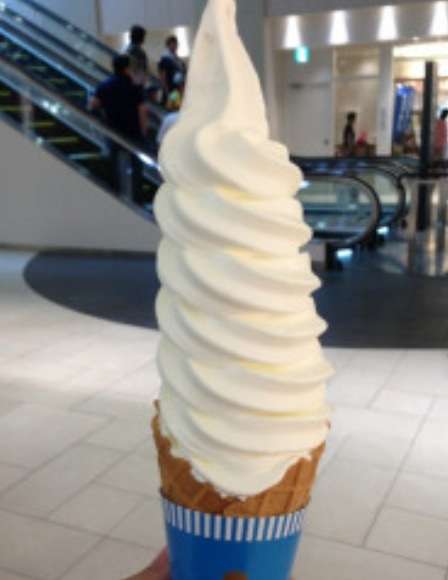 初めて食べた時に感動した食べ物