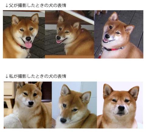 身内に引いたことありますか?