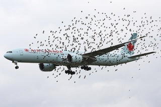 大規模な山火事が発生するも野次馬ドローン5機に消防ヘリ出動が阻まれてLA高速道が火の海に
