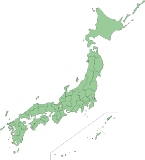 飛行機に初めて乗ったときどうでしたか？