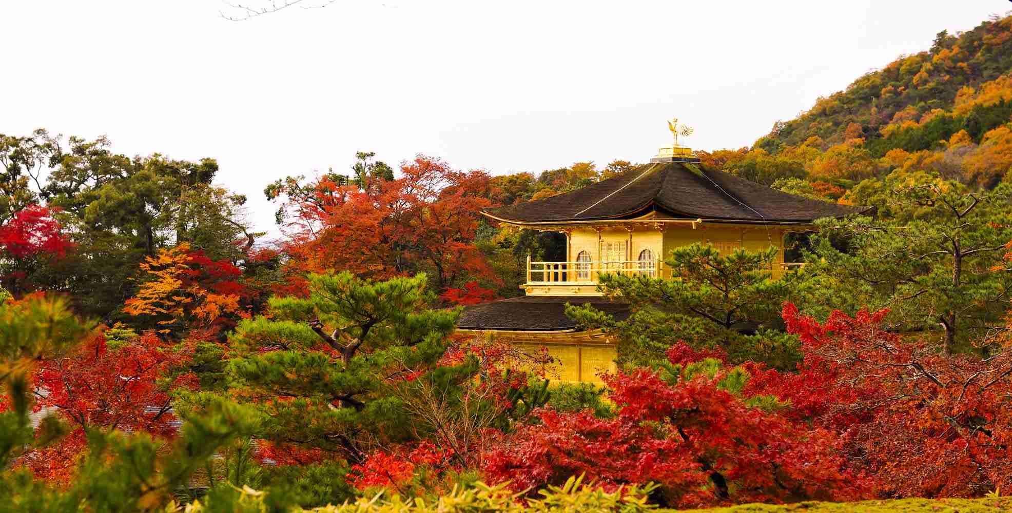 京都好きなひと限定
