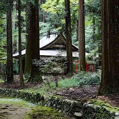 京都好きなひと限定