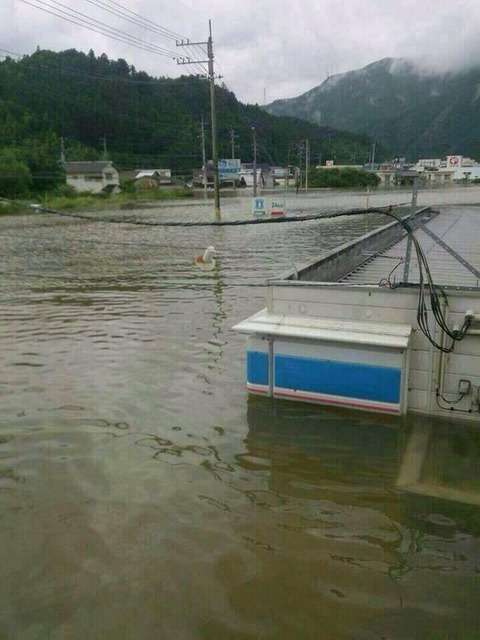 【情報共有】 台風11号 