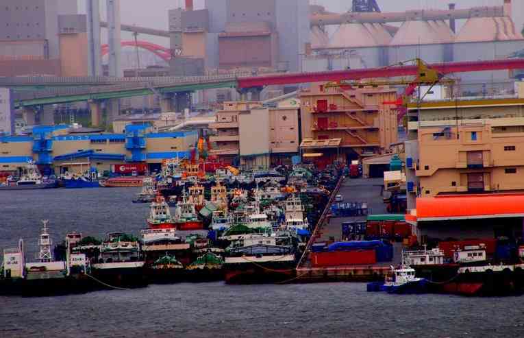 【情報共有】 台風11号 