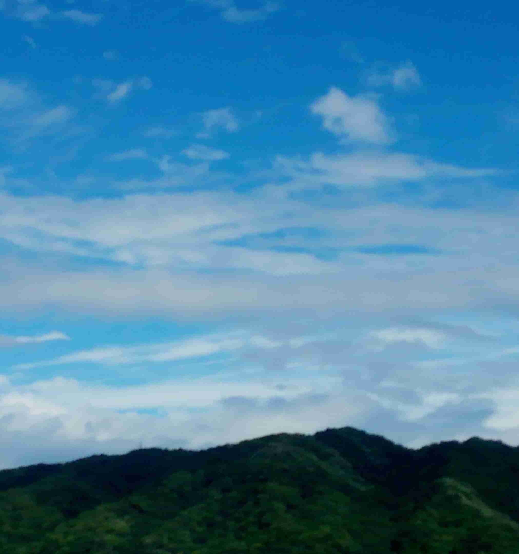 【情報共有】 台風11号 