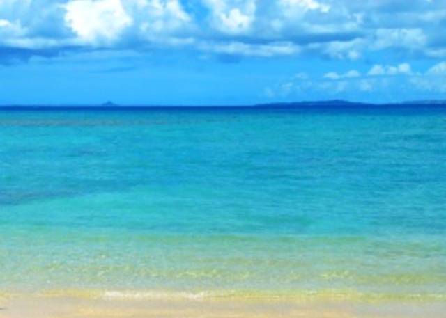 うちなーんちゅ(沖縄の人)集まれ~