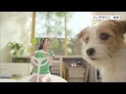 おすすめの小型犬を教えてください。