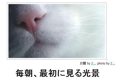 朝起きるとネコと手を繋いでいた奇跡の写真ｗｗｗ