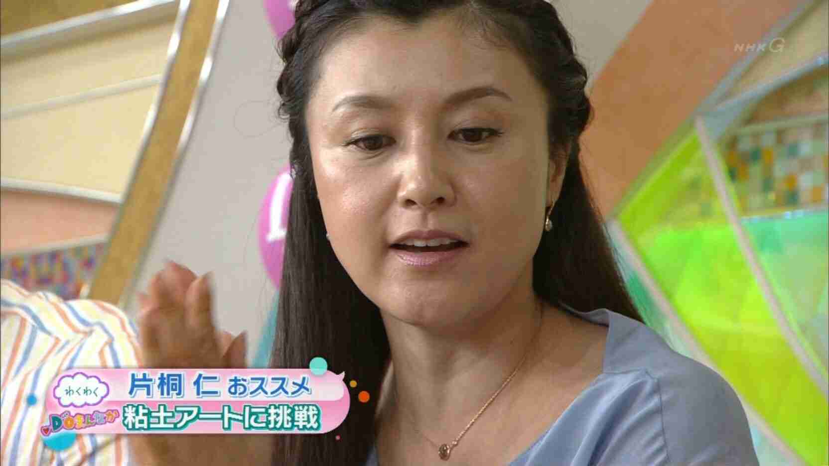 藤原紀香「傷だらけになりました」
