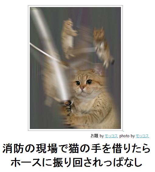 じわじわくる【画像】下さい
