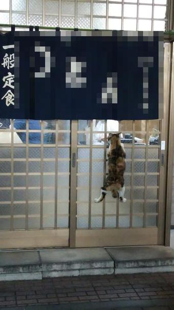 じわじわくる【画像】下さい