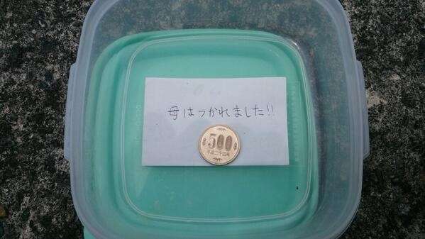 じわじわくる【画像】下さい