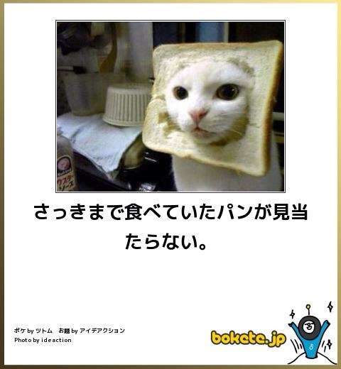じわじわくる【画像】下さい