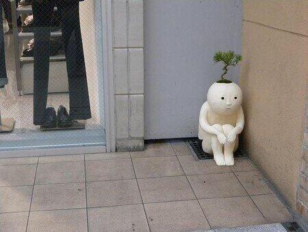 じわじわくる【画像】下さい