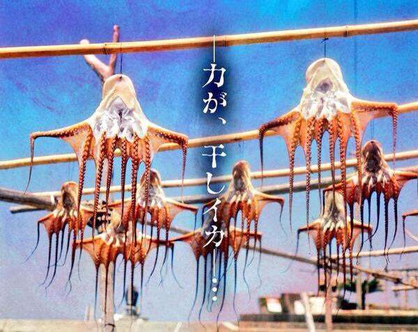 じわじわくる【画像】下さい