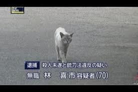 じわじわくる【画像】下さい