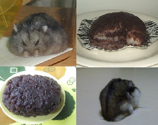 じわじわくる【画像】下さい