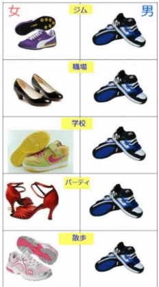 男女の違い