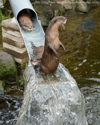 動物園、水族館でのお目当て。