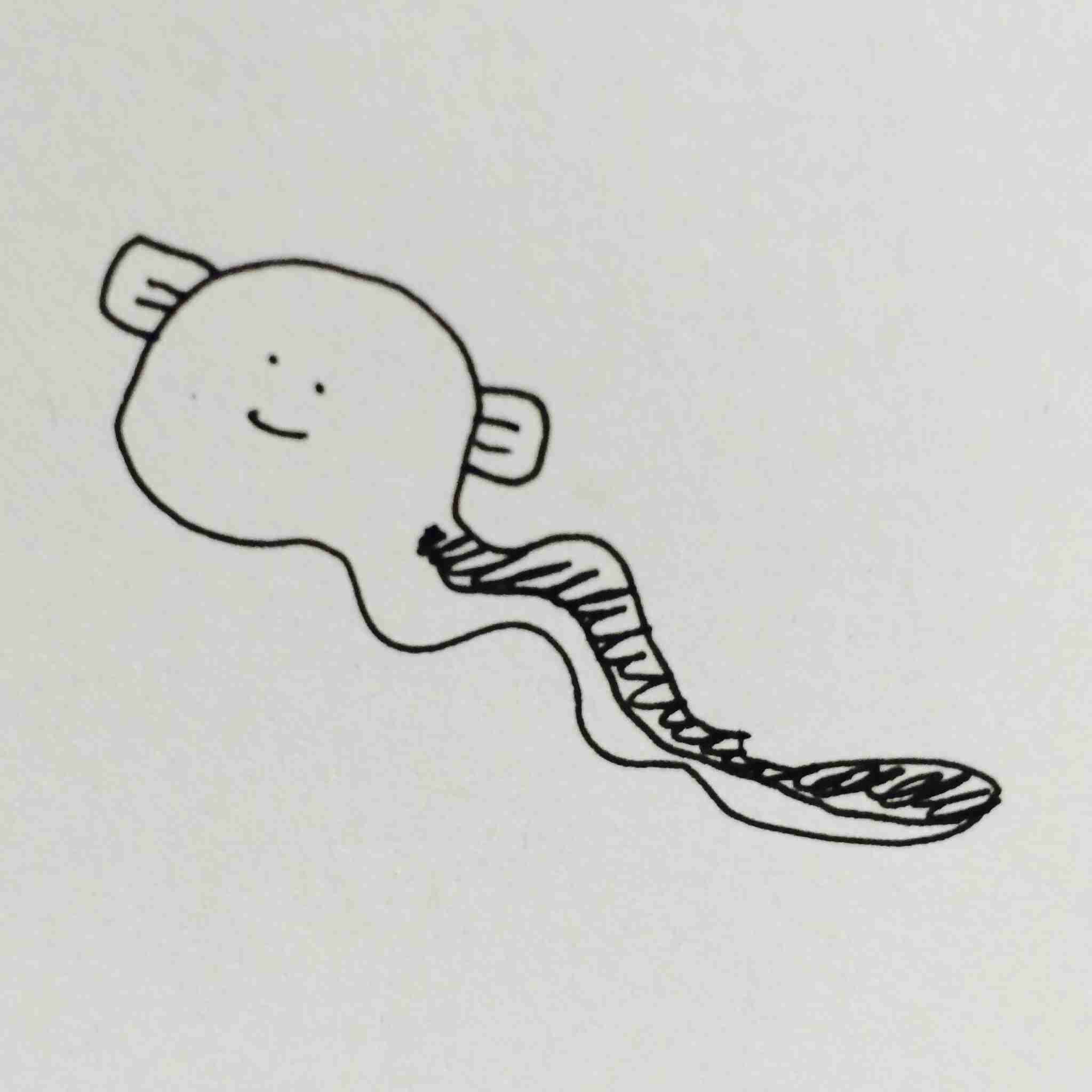 今日は丑の日!何も見ずにウナギの絵を描いてみるトピ