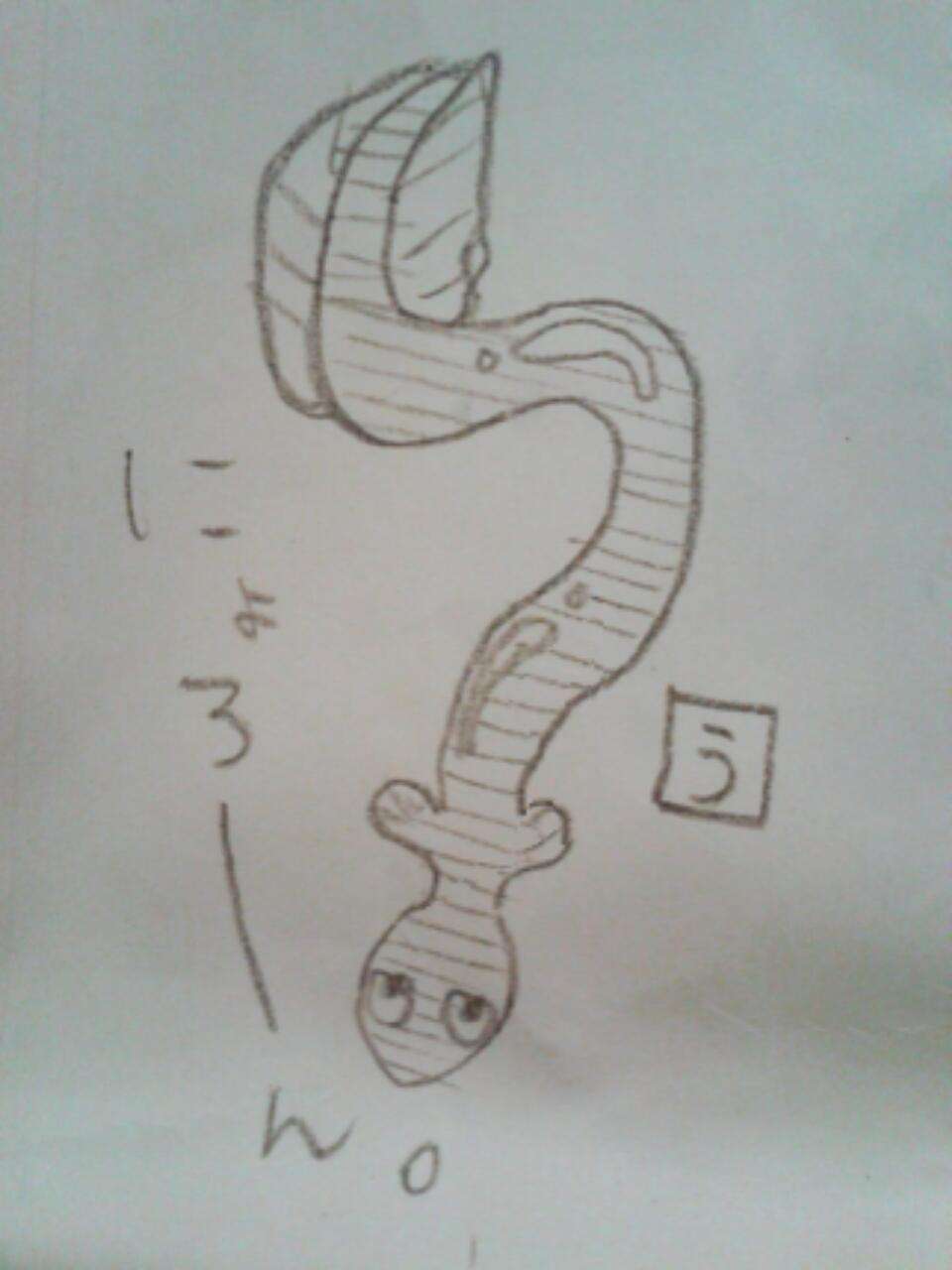 今日は丑の日!何も見ずにウナギの絵を描いてみるトピ