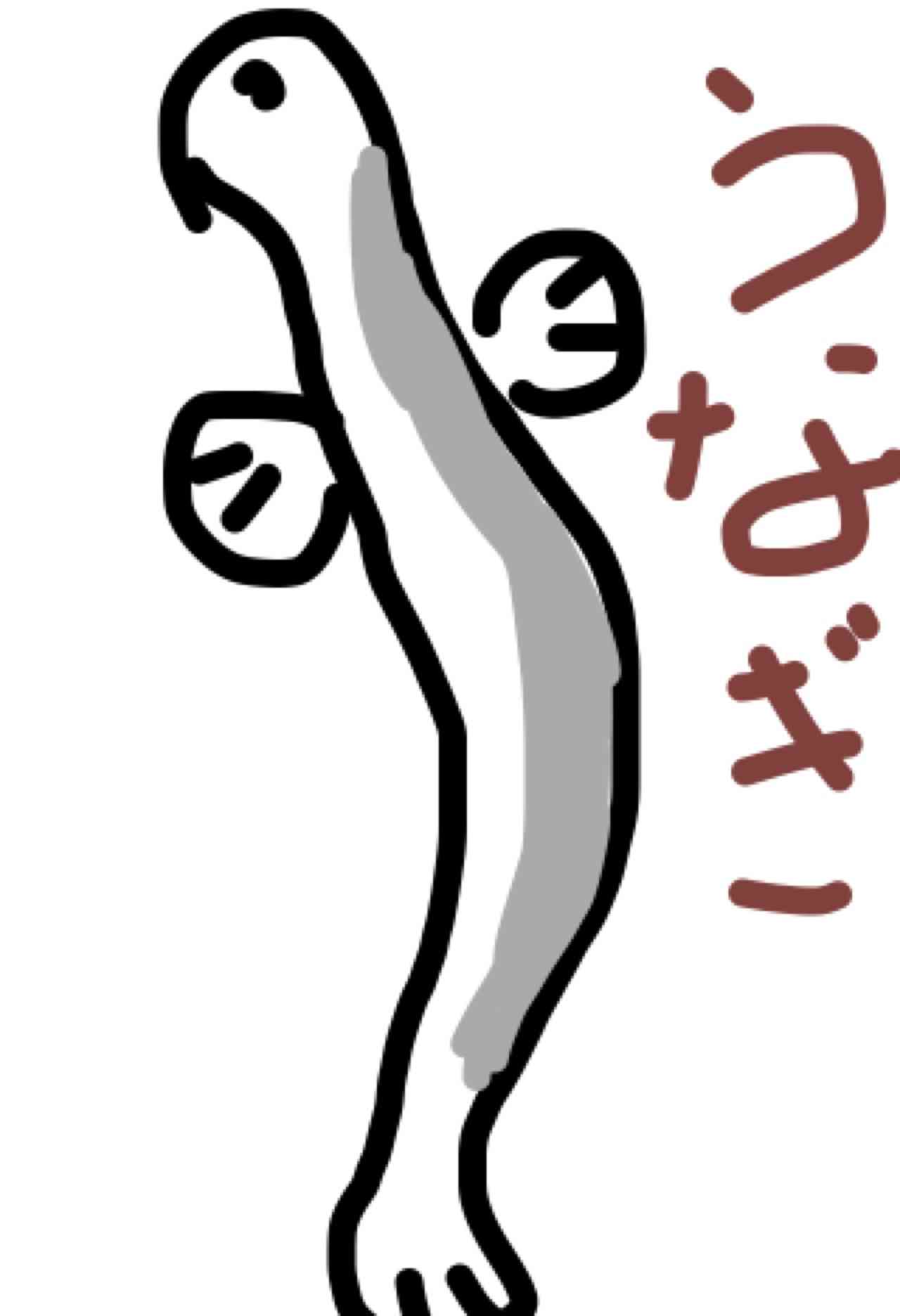 今日は丑の日!何も見ずにウナギの絵を描いてみるトピ