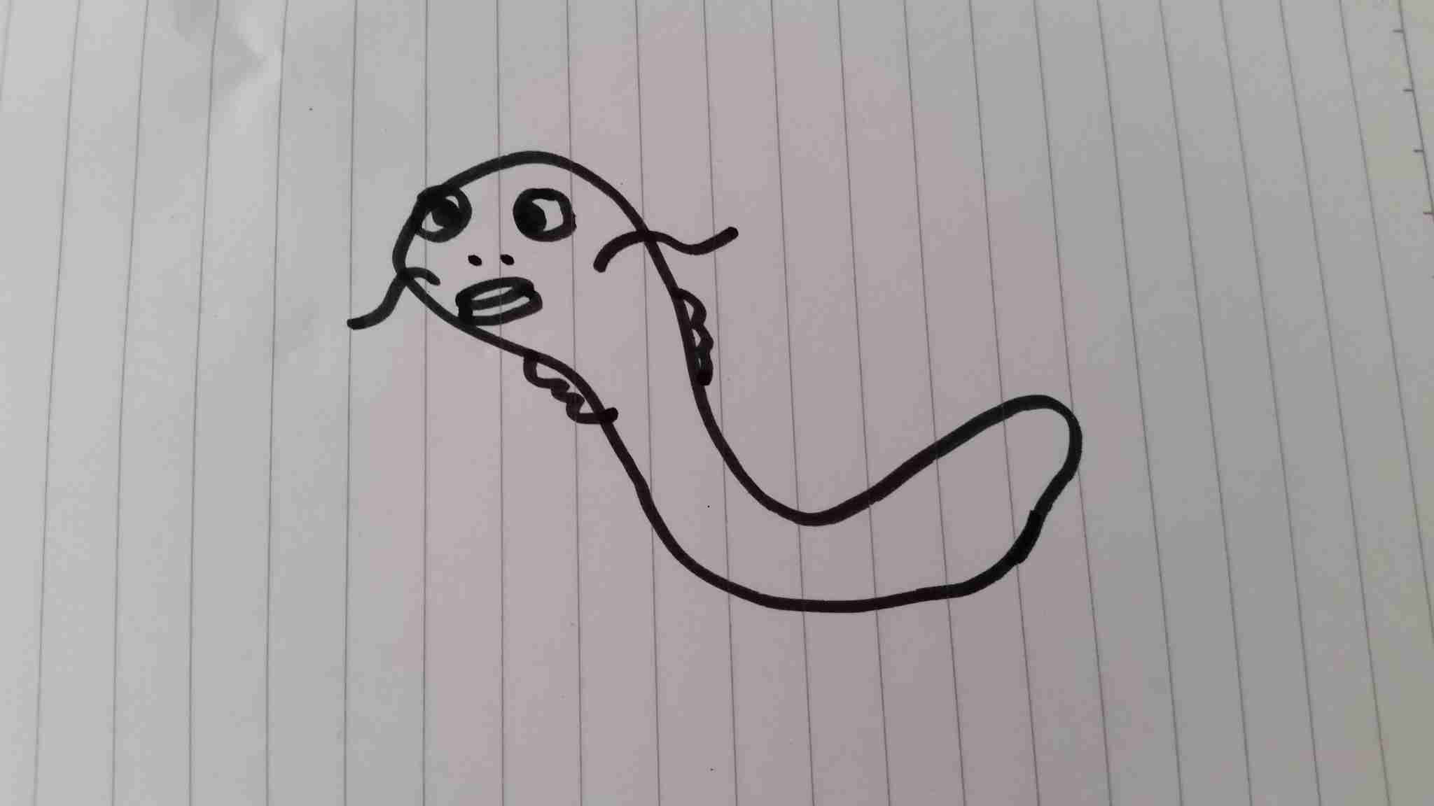 今日は丑の日!何も見ずにウナギの絵を描いてみるトピ