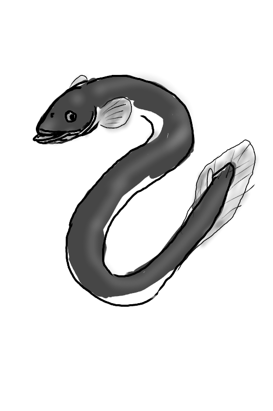 今日は丑の日!何も見ずにウナギの絵を描いてみるトピ