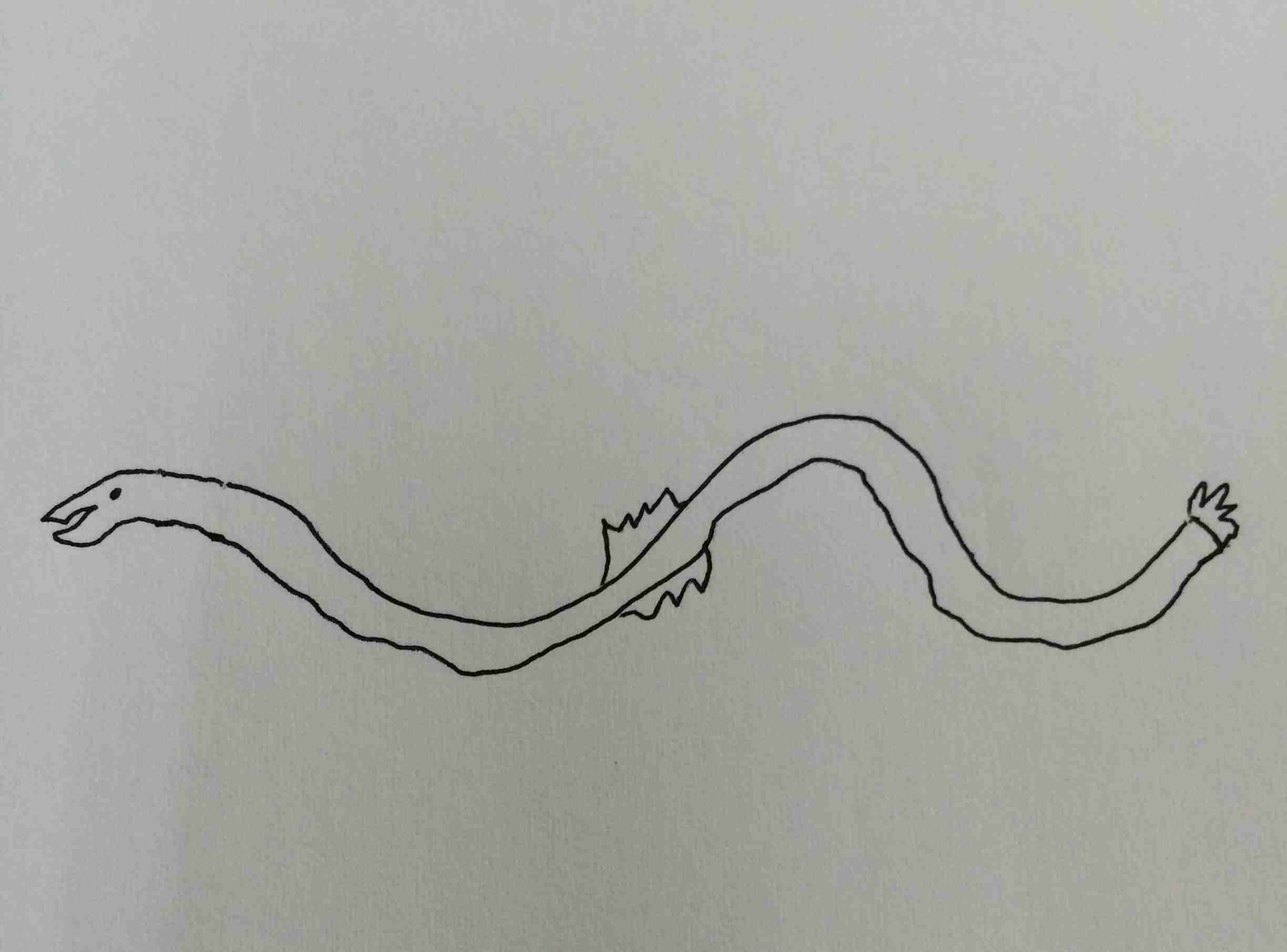 今日は丑の日!何も見ずにウナギの絵を描いてみるトピ
