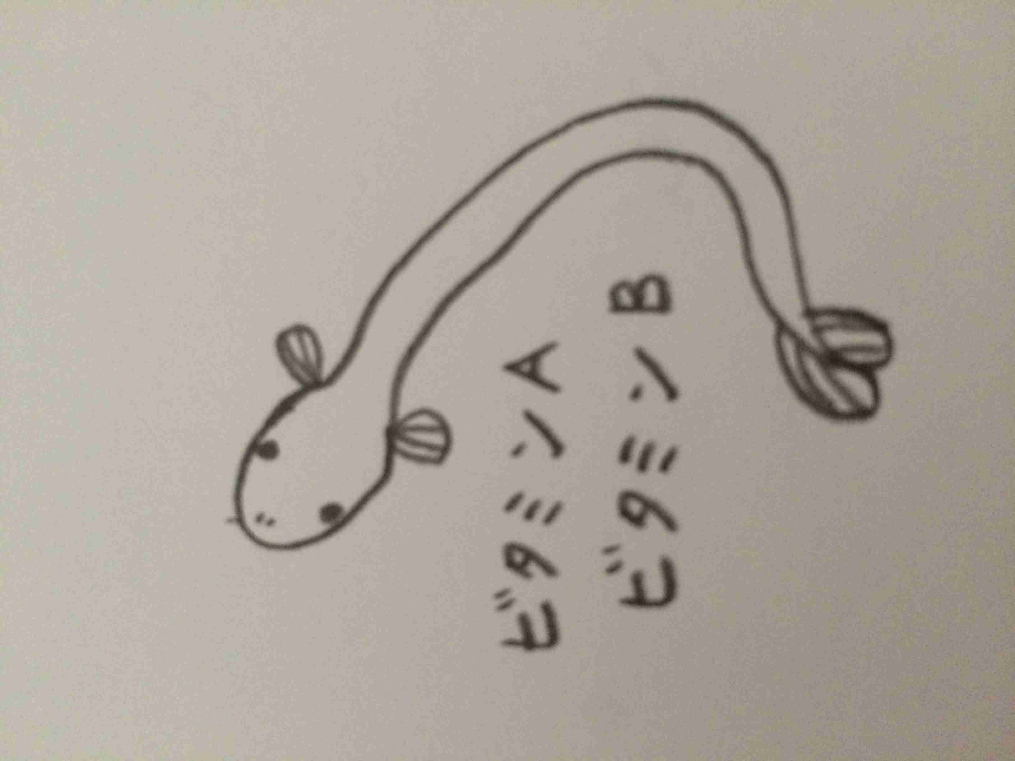 今日は丑の日!何も見ずにウナギの絵を描いてみるトピ