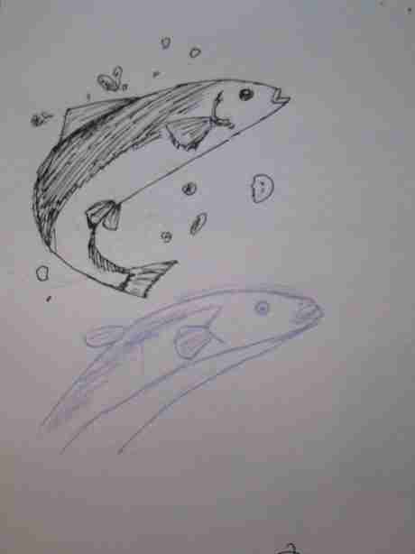 今日は丑の日!何も見ずにウナギの絵を描いてみるトピ