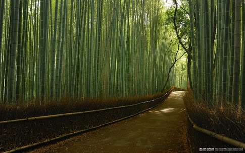 京都おすすめスポット