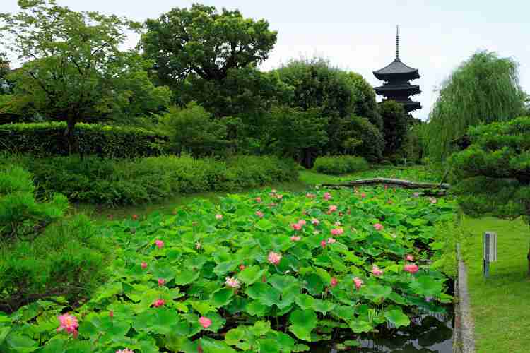 京都おすすめスポット