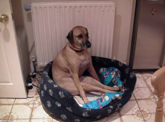 疲れたら出るところ