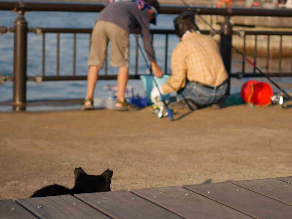 こいつ狙ってるな!と思う事