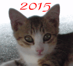あなたは犬派?ねこ派?