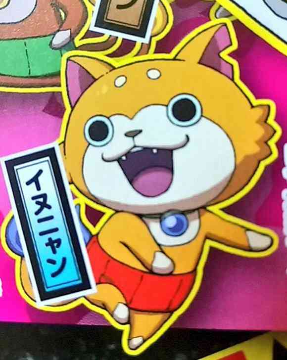 あなたは犬派?ねこ派?