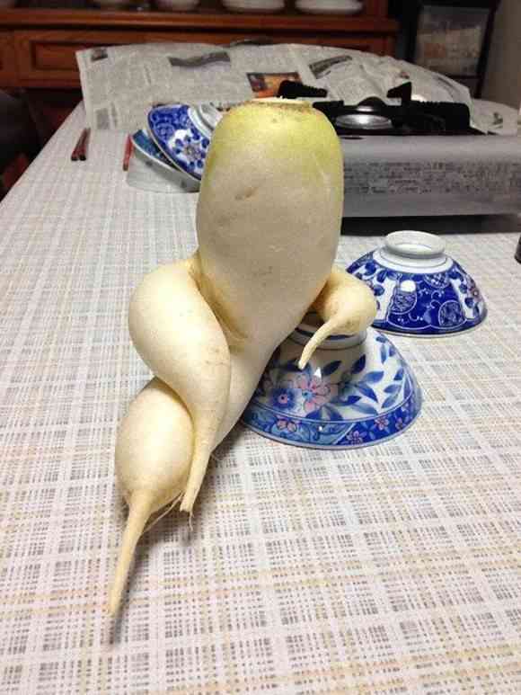 自由に遊べるトピ♡