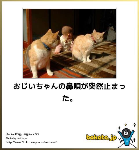 自由に遊べるトピ♡